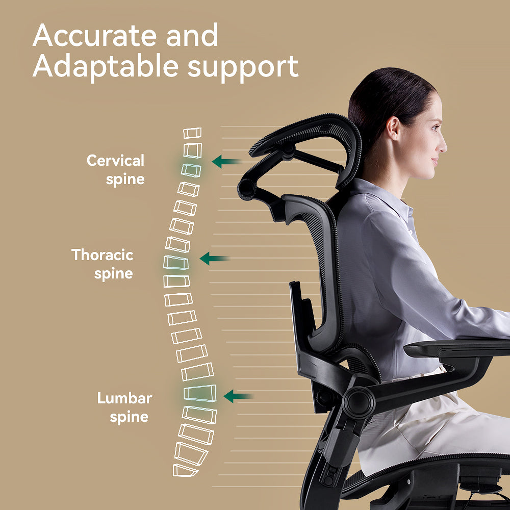 Pro H1 Ergonomic Office Chair with Footrest