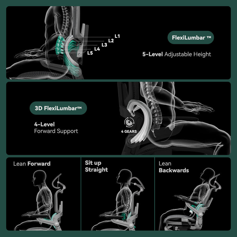Pro H1 Ergonomic Office Chair with Footrest