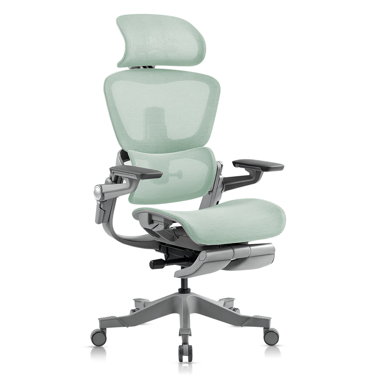 Pro H1 Ergonomic Office Chair with Footrest
