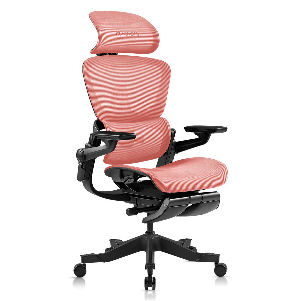 Pro H1 Ergonomic Office Chair with Footrest